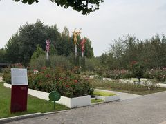 -大望京公园