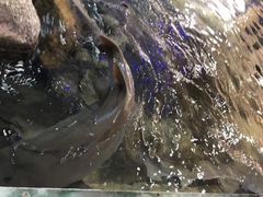 -鸿通城购物中心