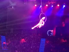 -珠海横琴长隆《卡卡虎奇遇记》