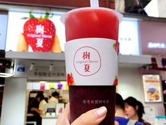 树夏杨梅-树夏(建设路店)