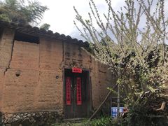 -杨家堂村