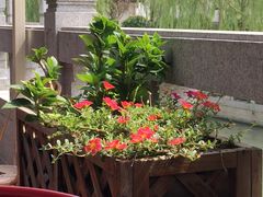 -吴越荣记·苏州菜·松鼠桂鱼(斜塘老街店)