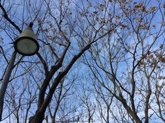 -白塘生态植物园