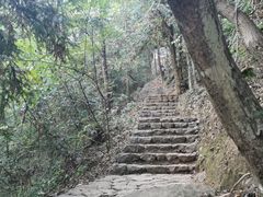 -千岛湖石林