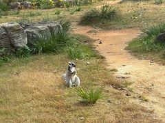 -秦皇岛野生动物园