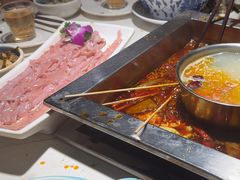 -二荆条·蜀鲜汇城市森林火锅