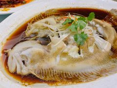 清蒸多宝鱼-新洪记·丽久饭店(铁西店)