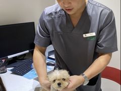 -伟伟宠物医院·CT影像中心·瑞派犬猫综合性门诊(汉口总院)