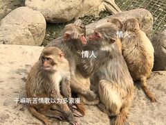 -常州淹城野生动物世界