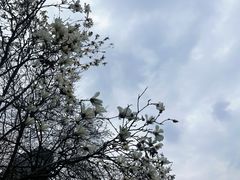 -木塔寺遗址生态公园