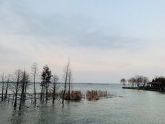 -阳澄湖半岛旅游度假区