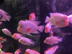 -泉城欧乐堡海洋极地世界