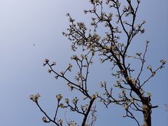 -山东大学(洪家楼校区)