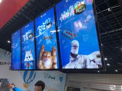 -开心猫无锡三阳广场店