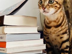 -Me Coffee下午茶艺术空间