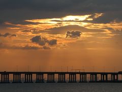 -宝安西湾红树林湿地公园