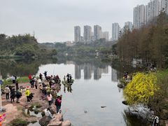 -重庆彩云湖湿地公园
