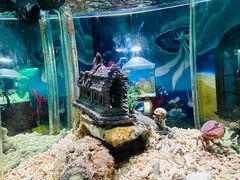 -太平洋海底世界