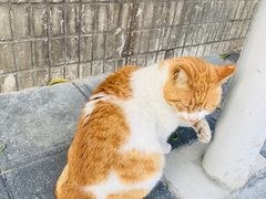 -新达口腔(华东理工大学店)