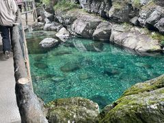 -石台牯牛降景区