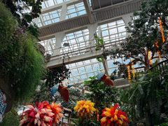 -正佳雨林生态植物园