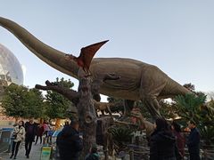 -陕西自然博物馆