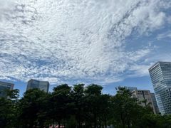 门外的景色-星巴克(深圳百度大厦西塔店)