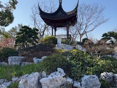 -上海滨江森林公园