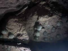 -中国西峡恐龙遗迹园
