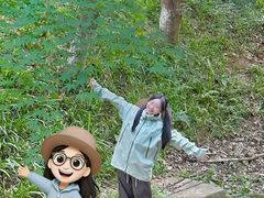 -杭州半山国家森林公园