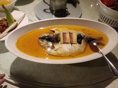 酒糟鲥鱼-金美华轩(东方路齐鲁店)