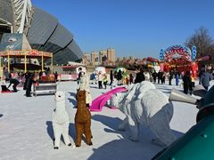 -沈阳奥体冰雪嘉年华