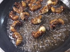 -大班家政月嫂育儿嫂(总部店)