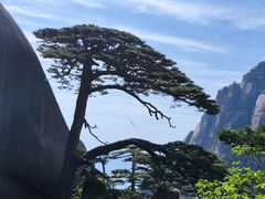 -黄山风景区
