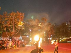 -灵玲国际马戏城