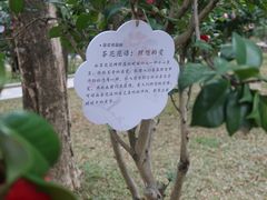 -深圳国际园林花卉博览园