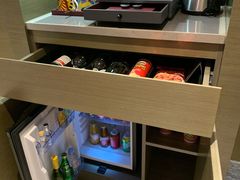 -南京禄口机场雅高铂尔曼大酒店