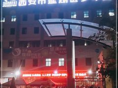 -陕西省小天鹅艺术团