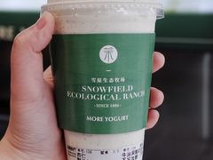 -茉酸奶(春熙路店)