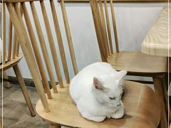 -正南齐北·老街糯米团(洪崖洞店)