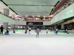 -TheRink大零溜冰场(IFS国金中心店)