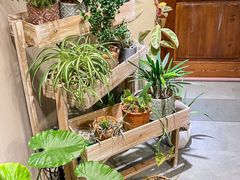 -IFIF 如果花園(宽厚里店)