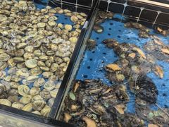 -川骄海鲜自助(河东店)