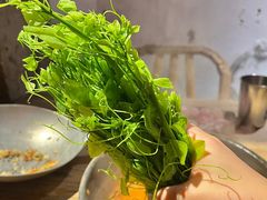 -毛辣果·酸