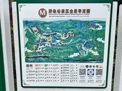 -野象谷景区