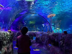 -沈阳海洋探索中心