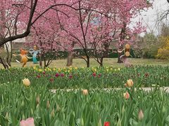 -国家植物园