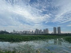 -月湖风景区