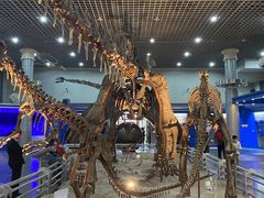 -国家自然博物馆