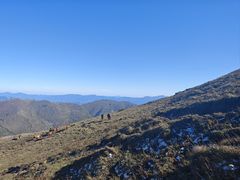 -灵山